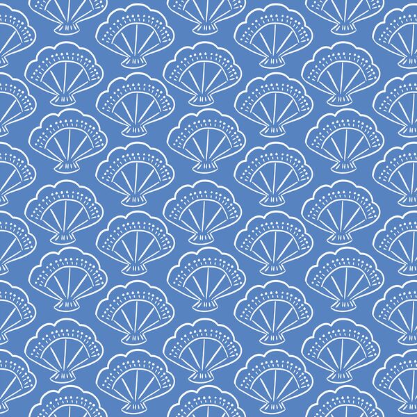 Shells in Nautical