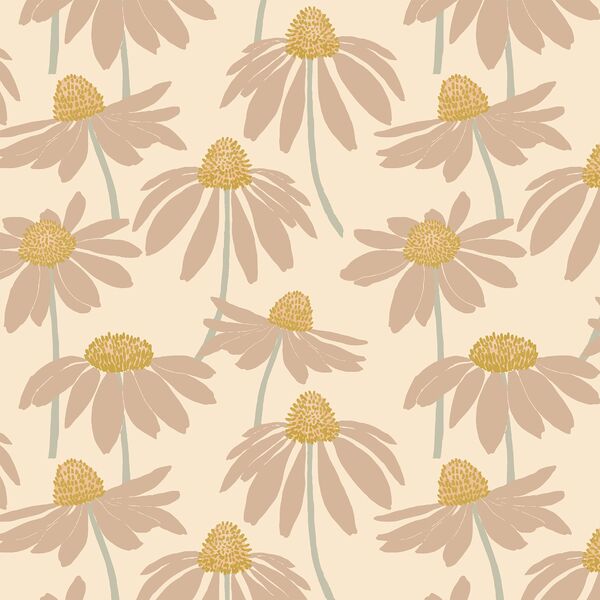 Coneflower in Sugar