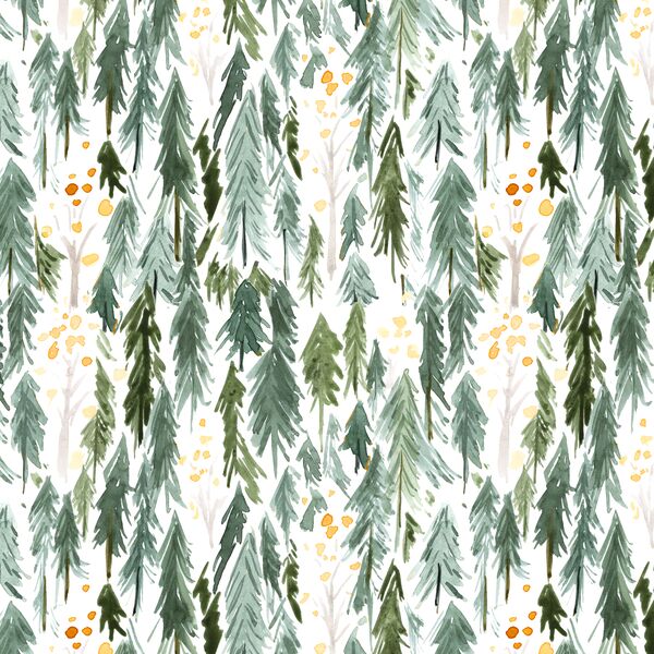 Woods in Pine