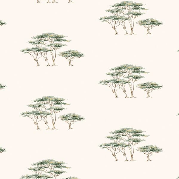Under the Acacias in Adventure