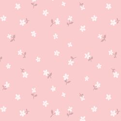 Daisy in Rosy