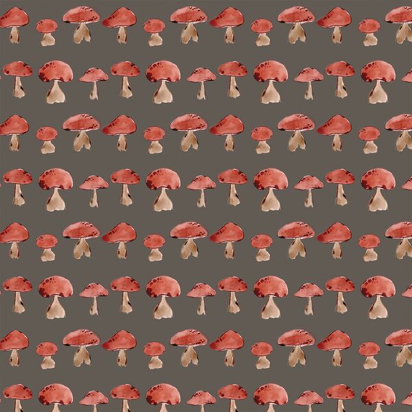 Toadstool Collection in Timberwood