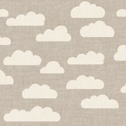 Large Clouds in Dove