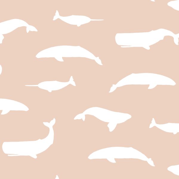 Whale Silhouette in Shell