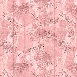 Ephemera in Pink