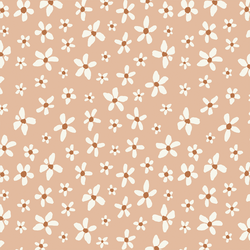 Daisies in Blossom
