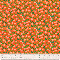 Flowerbed in Coral