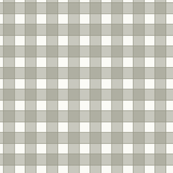 Outlined Gingham in Olive Green
