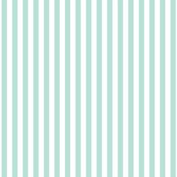 Dress Stripe in Aloe