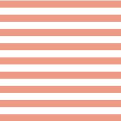 Horizontal Candy Stripe in Grapefruit