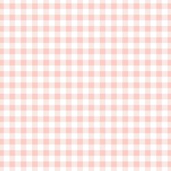 Little Gingham in Pink