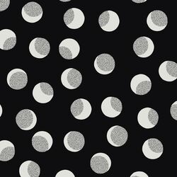 Phoebe Dot in Night