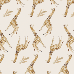 Giraffes in Savanna