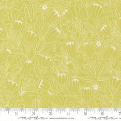 Tulip Lines in Light Green