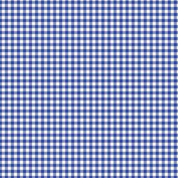 Gingham in Bright Blue