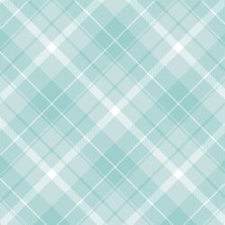 Twill Plaid in Robin