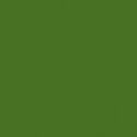 Solid in Olive