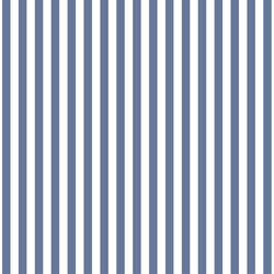 Dress Stripe in Azurite