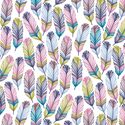 Feathers in Riviera Cote d Azur
