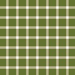 Plaid in Winter Forest