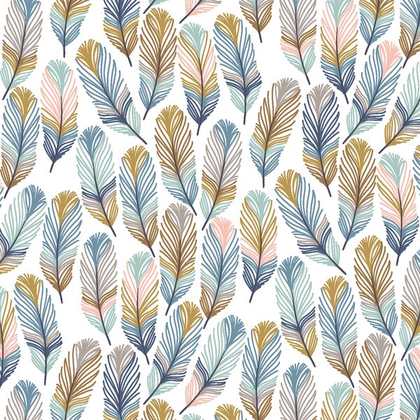 Feathers in Tangier