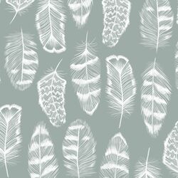 Plume in Eucalyptus