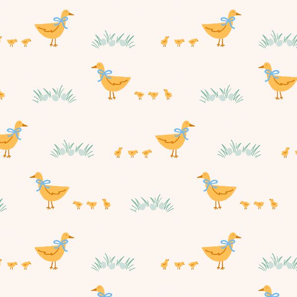 Ducks and Ducklings in Spring