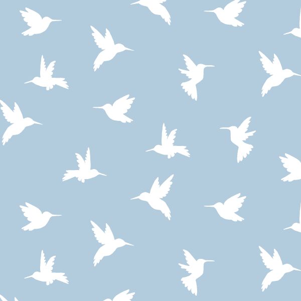 Hummingbird Silhouette in Sky