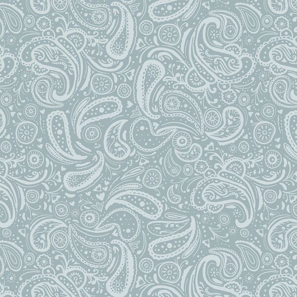 Paisley in Jean Blue