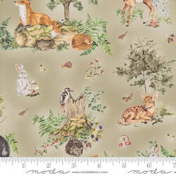 Woodland Tales Beneath the Trees in Sage