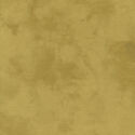 Palette in Cumin