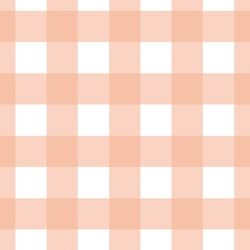 Large Gingham in Coral Blush