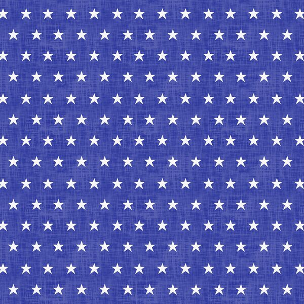 Star Spangled in Blue Jeans