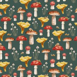Mushrooms in Spruce