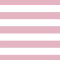 Horizontal Play Stripe in Carnation