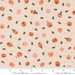 Friendly Pumpkin and Spiders in Moonbeam