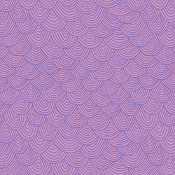 Scallop in Orchid