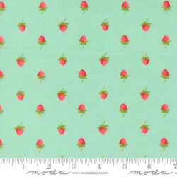 Berries in Aqua