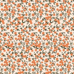 Little Oranges in Blush