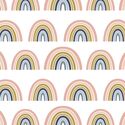 Always Rainbows in Anhinga