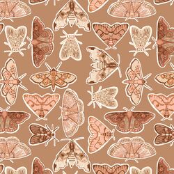 Moth to a Flame in Walnut