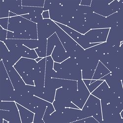 Star Charts in Indigo
