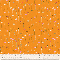 Wildflowers in Orange