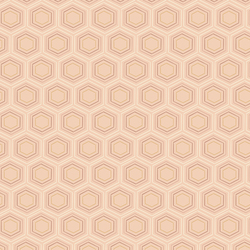 Honeycomb Dreams in Peach