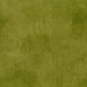 Palette in Olive