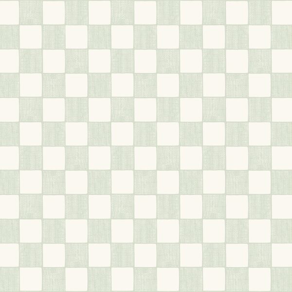 Textured Check in Cloud