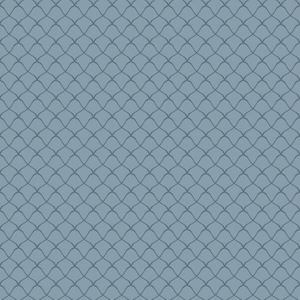 Scales in Tidal