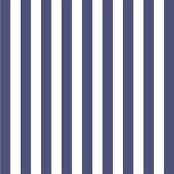 Candy Stripe in Indigo