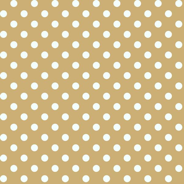 Candy Dot in Golden Canyon