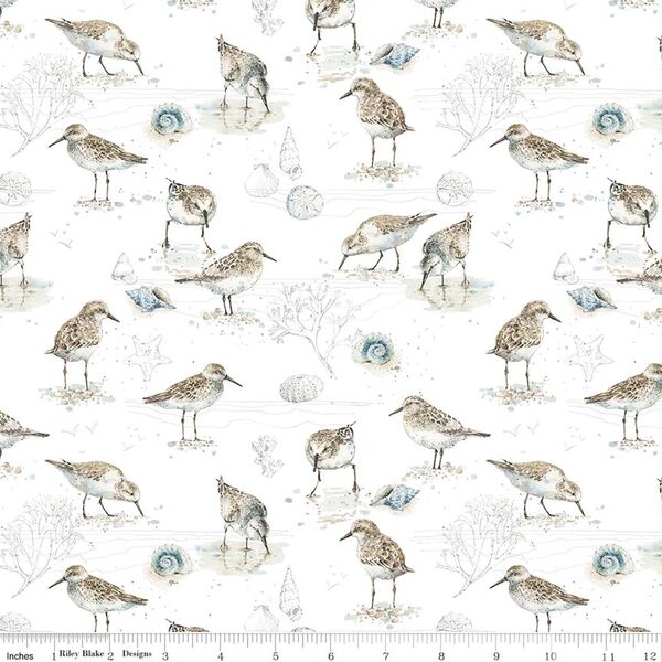 Birds in White